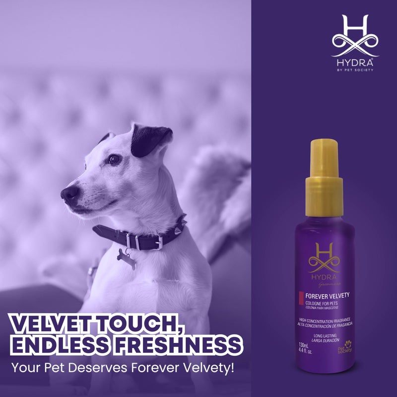 hydra Combo of Hydra Groomers Forever Fresh Pet Cologne Spray for Dog and Cat, 130ml-1pc and Stainless Steel Grooming Comb for Dogs & Cats-1pc - Image 4