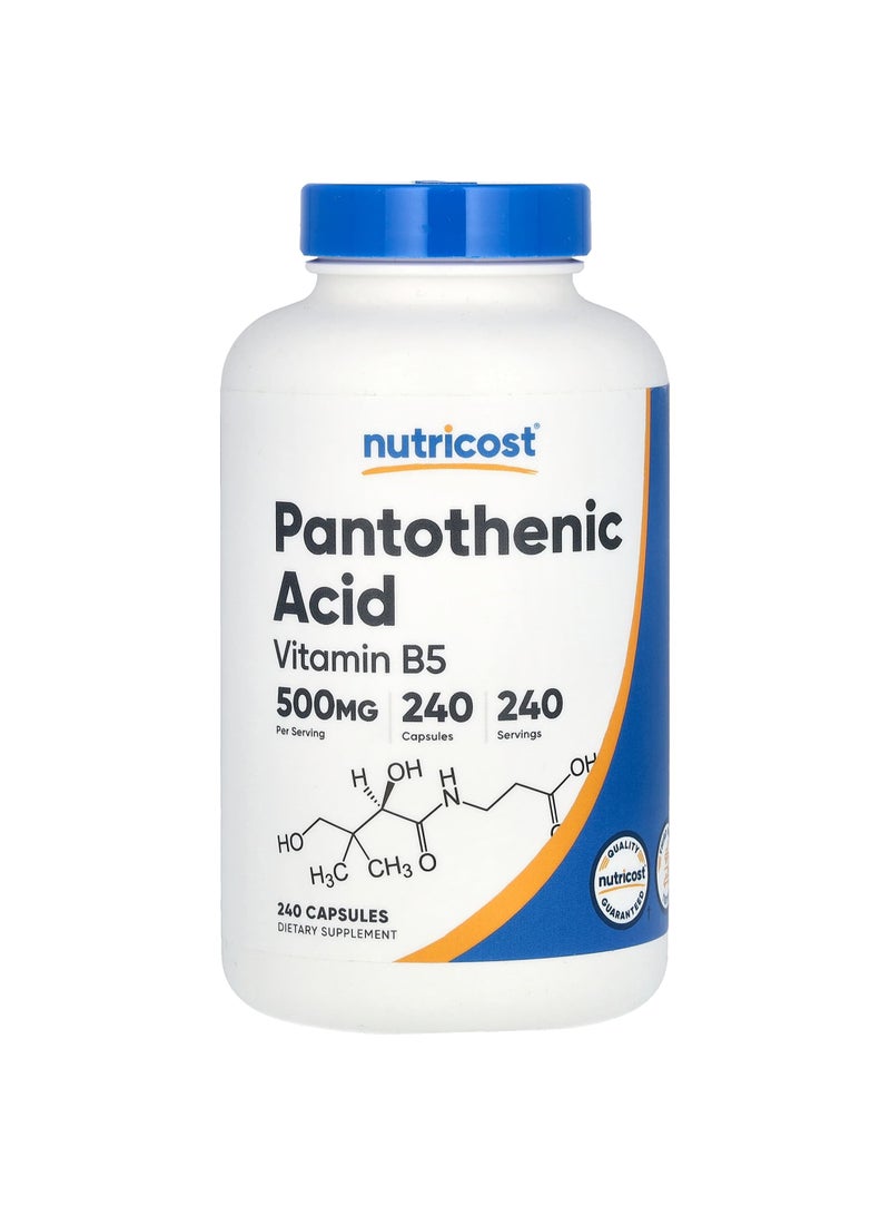 Pantothenic Acid, 500 mg, 240 Capsules