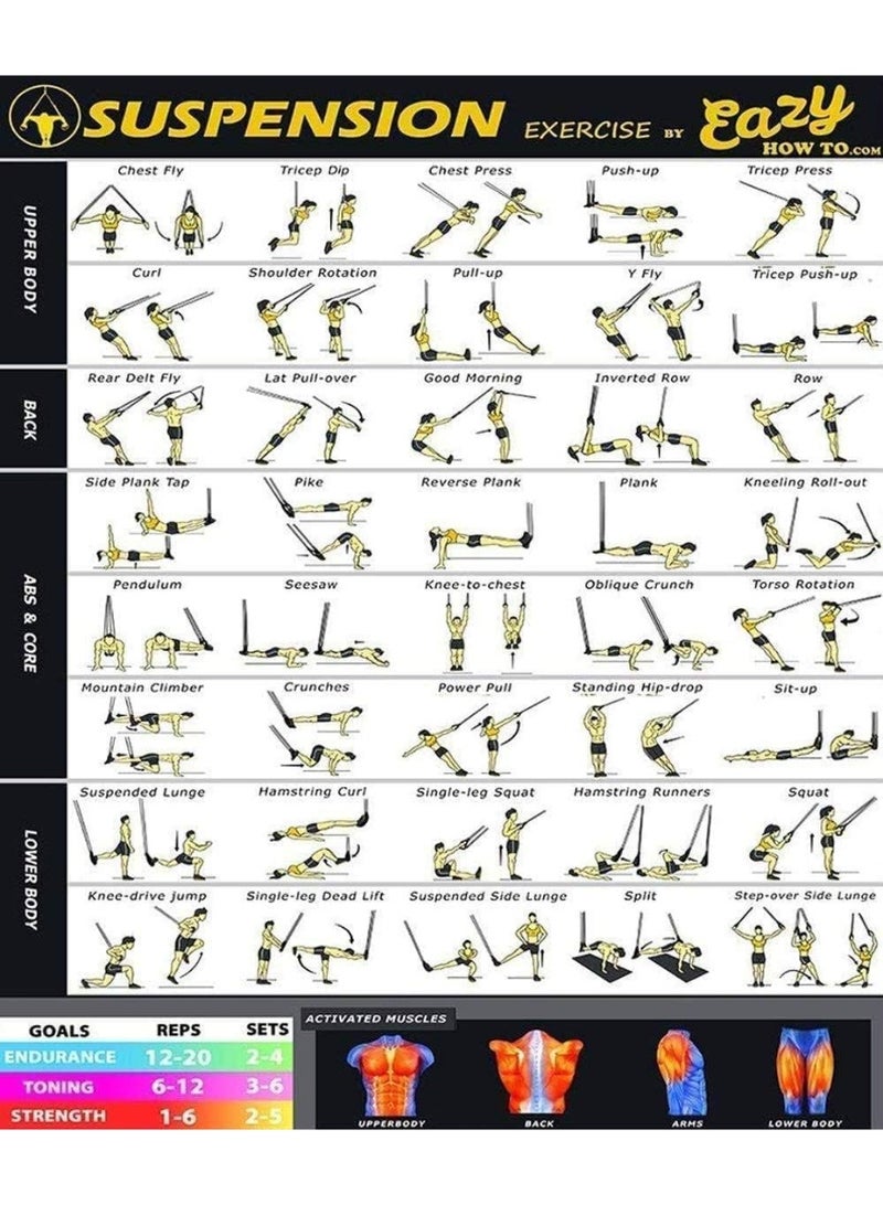 سبورت كيو مجموعة تدريب التعليق Pro3، أشرطة مقاومة لتدريب الجسم بالكامل المستويات للاستخدام الداخلي والخارجي، أشرطة قابلة للتعديل تتحمل وزنًا يصل إلى 500 كجم، معدات متكاملة للجيم المنزلي - Image 4
