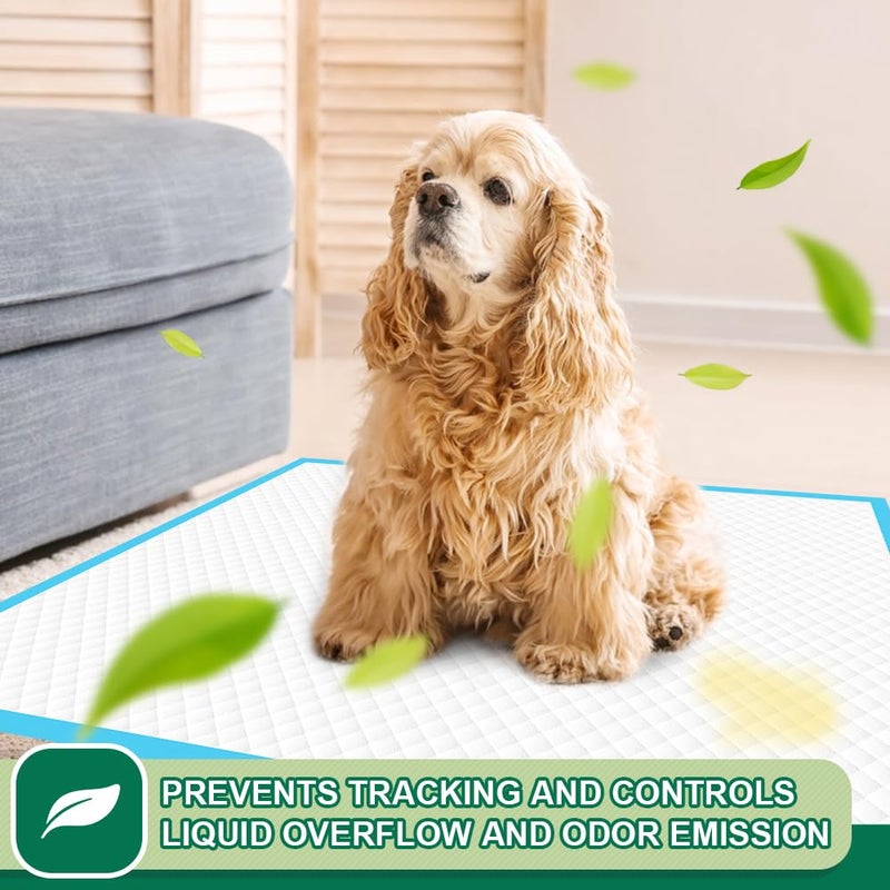 IMMCUTE Puppy Pads 22"x23" 100 Count | 6-Layer Leak-Proof & Super Absorbent Dog Training Pads | Disposable Potty Pads for Puppies, Dogs, Cats & Rabbits | Blue & White - Image 5