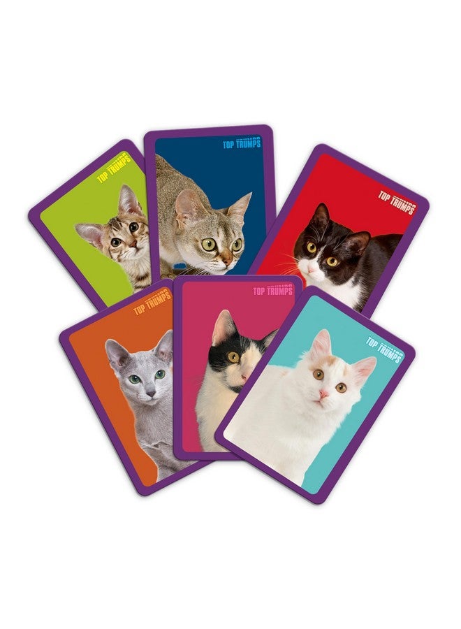 Top Trumps Match Game Cats - Family Board Games for Kids and Adults - Matching Game and Memory Game - Fun Two Player Kids Games - Memories and Learning, Board Games for Kids 4 and up - Image 2