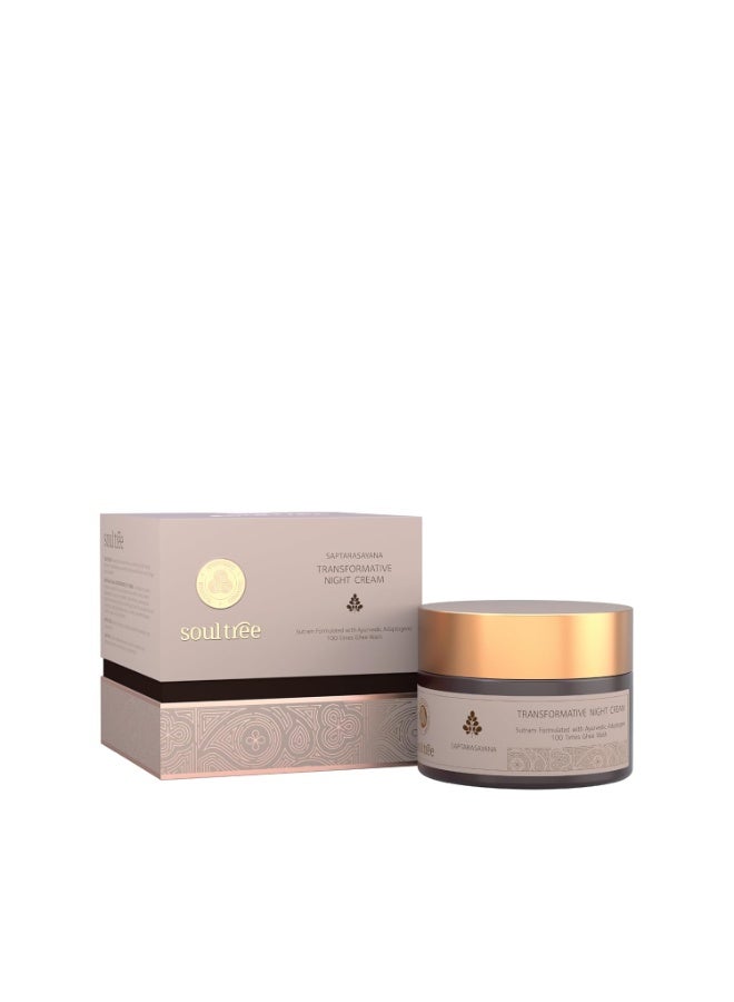 SoulTree Saptarasayana Transformative Night Cream – 50g - Image 1