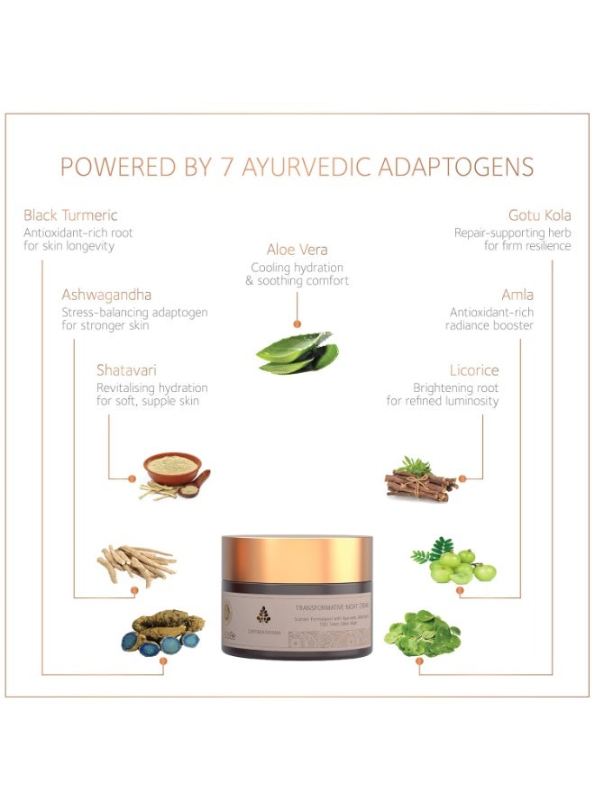 SoulTree Saptarasayana Transformative Night Cream – 50g - Image 3