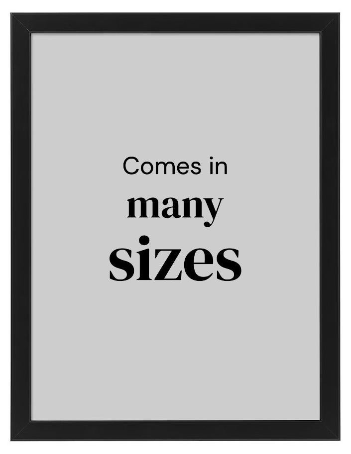 FISKBO Wall Picture Frame, Wall Hanging Photo Frame, Mounted Frame for Home, Office (Plastic & Fibreboard) Black 30 x 40 cm - Image 1