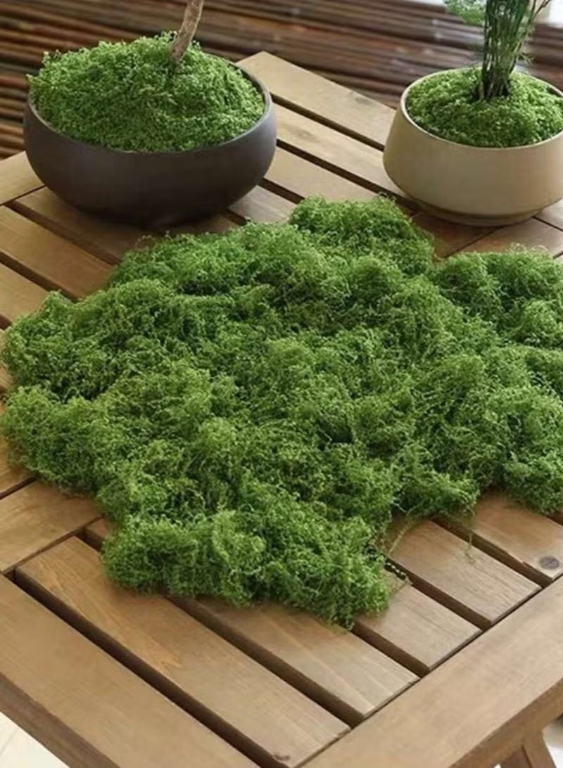 طحالب صناعية، طحالب اصطناعية، طحالب خضراء لتزيين الحدائق الصغيرة، نباتات خضراء يمكنك صنعها بنفسك لتزيين الحدائق المنزلية، نباتات مزروعة في أصص، أرضيات، ديكورات خارجية للحدائق والفناء - Image 3