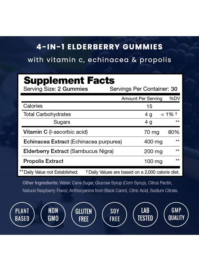 NutraChamps Elderberry Gummies | Sambucus Elderberry Gummies for Adults & Kids | Vitamin C, Propolis & Echinacea | Max Strength Immune Support Gummies | Natural Berry Flavor | 120 Gummies (2 Pack) - Image 2