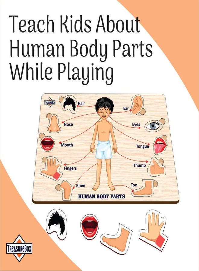 TreasureBox Wooden Puzzle Educational Board Learning Toy Tray for Kids, Size 22x30 cm (Body Parts) - Image 3