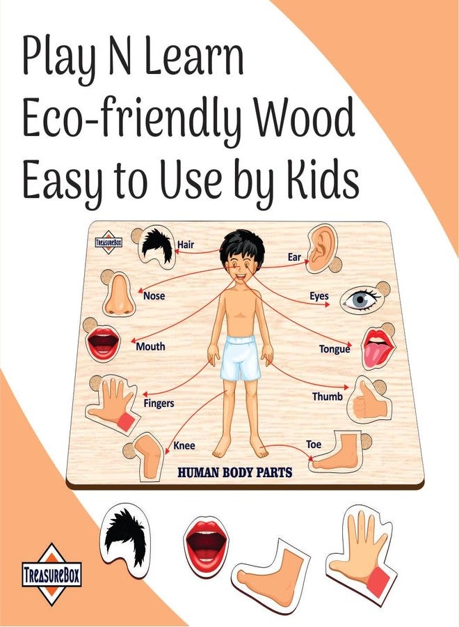TreasureBox Wooden Puzzle Educational Board Learning Toy Tray for Kids, Size 22x30 cm (Body Parts) - Image 4