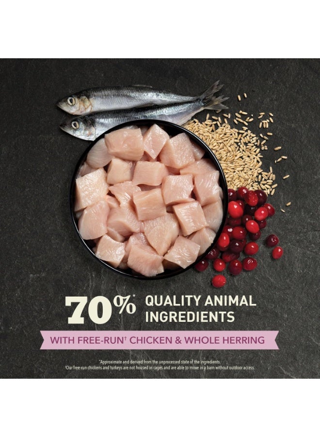 acana Kitten - Chicken with Herring Dry Cat Food Acana - 1.8 KG - Image 3