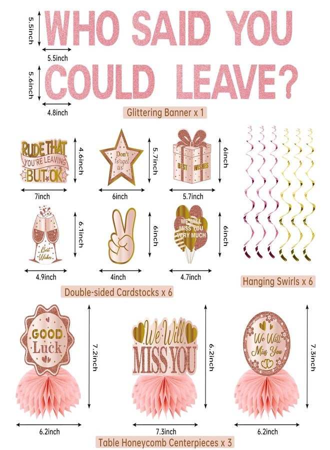 Uiorgui Going Away Party Decorations, Who Said You Could Leave Banner Good Luck We Will Miss You Farewell Decorations Retirement Goodbye Decor Table Centerpieces Hanging Swirls Party Supplies, Pink Rose Gold - Image 2
