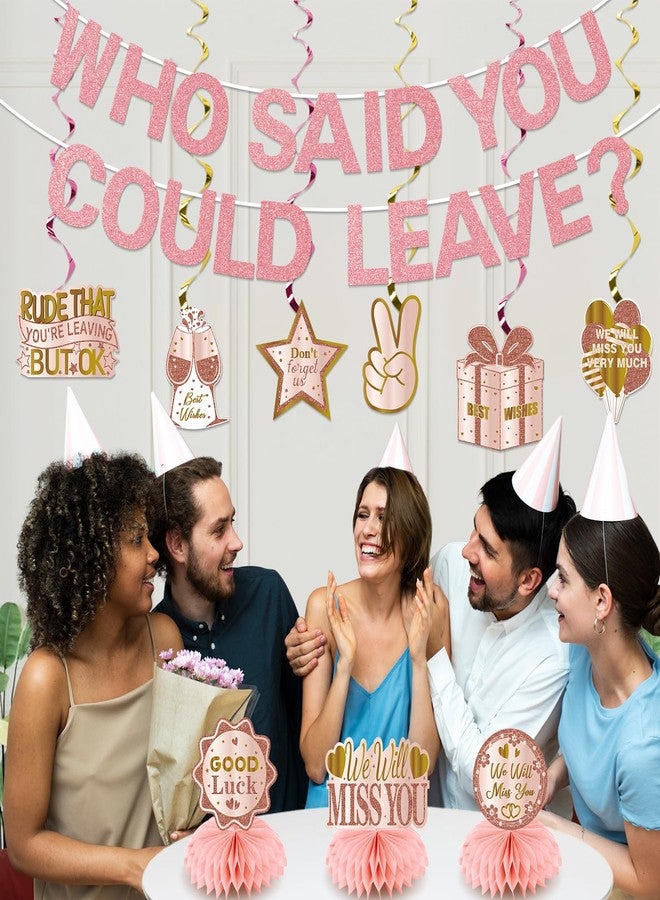 Uiorgui Going Away Party Decorations, Who Said You Could Leave Banner Good Luck We Will Miss You Farewell Decorations Retirement Goodbye Decor Table Centerpieces Hanging Swirls Party Supplies, Pink Rose Gold - Image 4