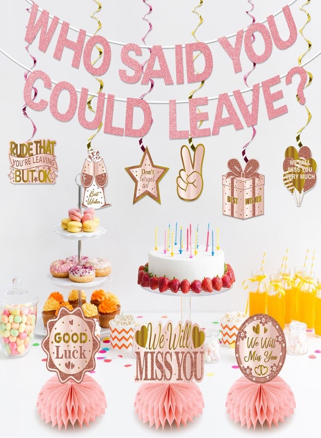 Uiorgui Going Away Party Decorations, Who Said You Could Leave Banner Good Luck We Will Miss You Farewell Decorations Retirement Goodbye Decor Table Centerpieces Hanging Swirls Party Supplies, Pink Rose Gold - Image 3
