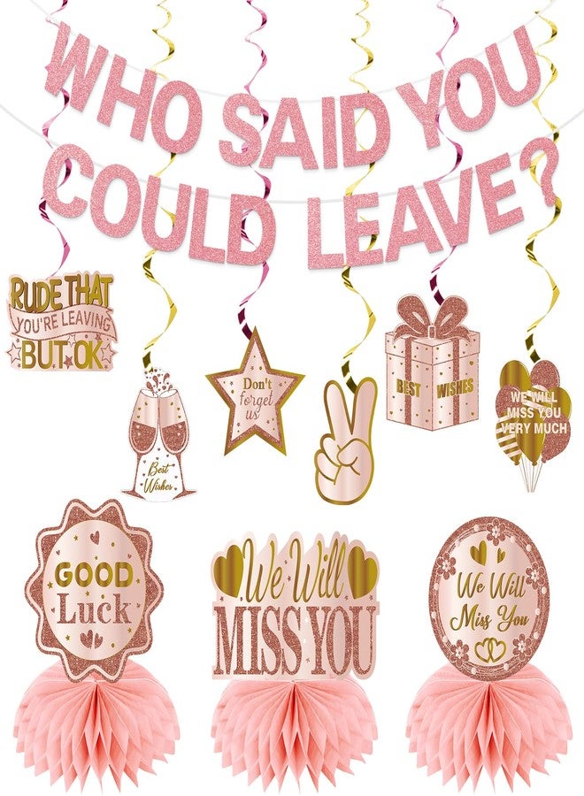 Uiorgui Going Away Party Decorations, Who Said You Could Leave Banner Good Luck We Will Miss You Farewell Decorations Retirement Goodbye Decor Table Centerpieces Hanging Swirls Party Supplies, Pink Rose Gold - Image 1