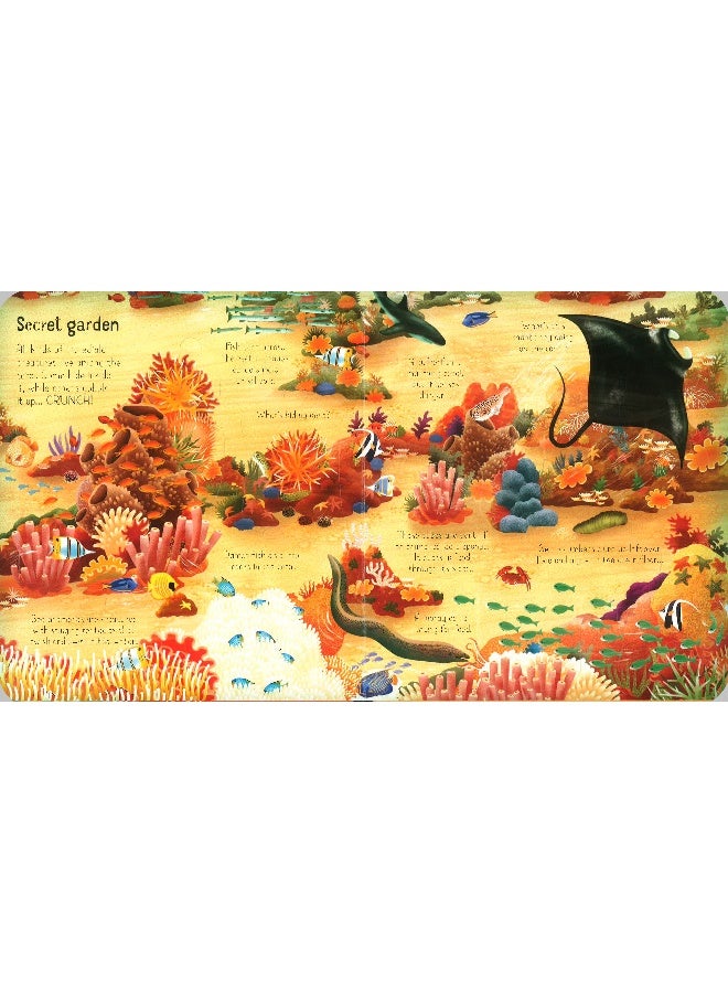 Look Inside A Coral Reef - Image 4