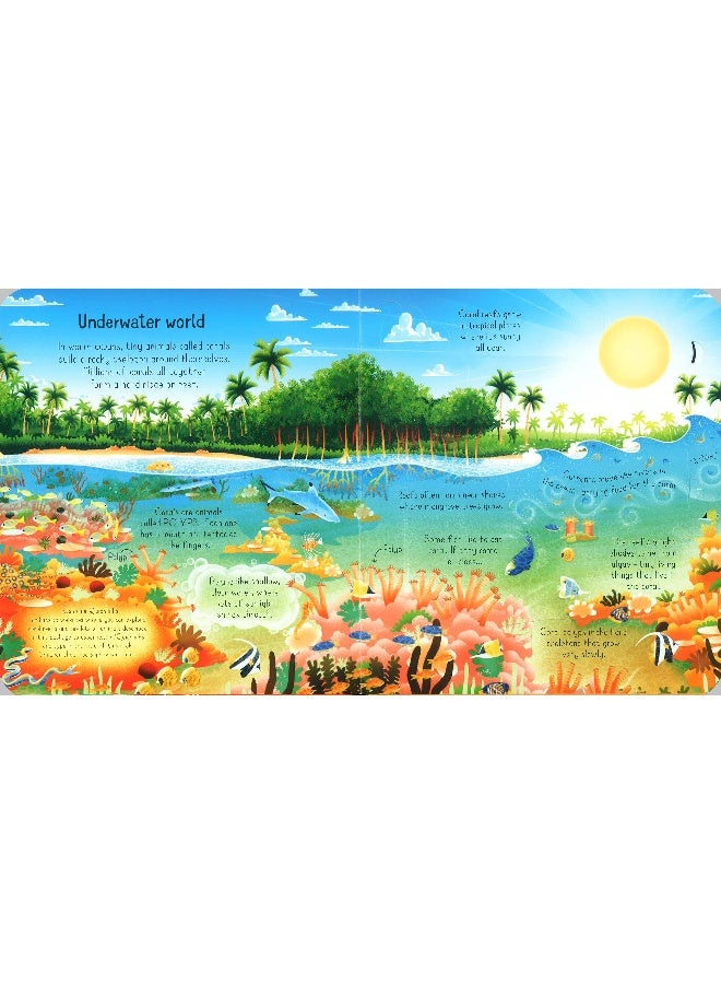 Look Inside A Coral Reef - Image 3