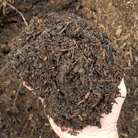 RADHA KRISHNA AGRICULTURE Radha Krishna Agriculture Organic Compost Special Pack of 800 g - Image 2