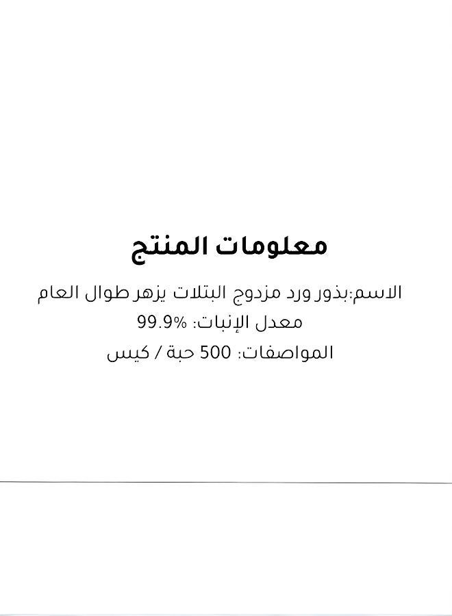 500 بذرة ورد مزدوج البتلات يزهر في الفصول الأربعة نباتات معمرة سريعة النمو - Image 2