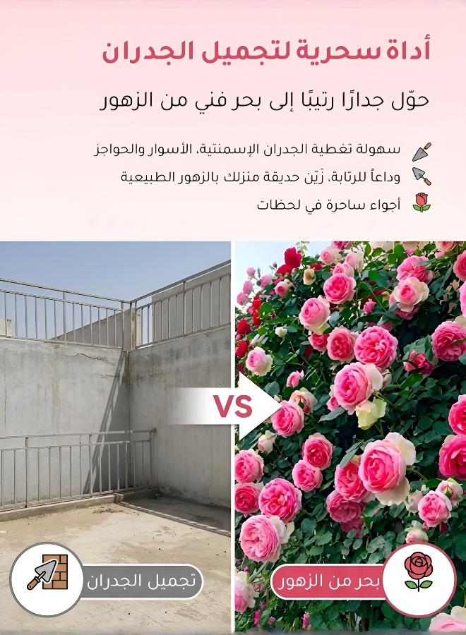 500 بذرة ورد مزدوج البتلات يزهر في الفصول الأربعة نباتات معمرة سريعة النمو - Image 4