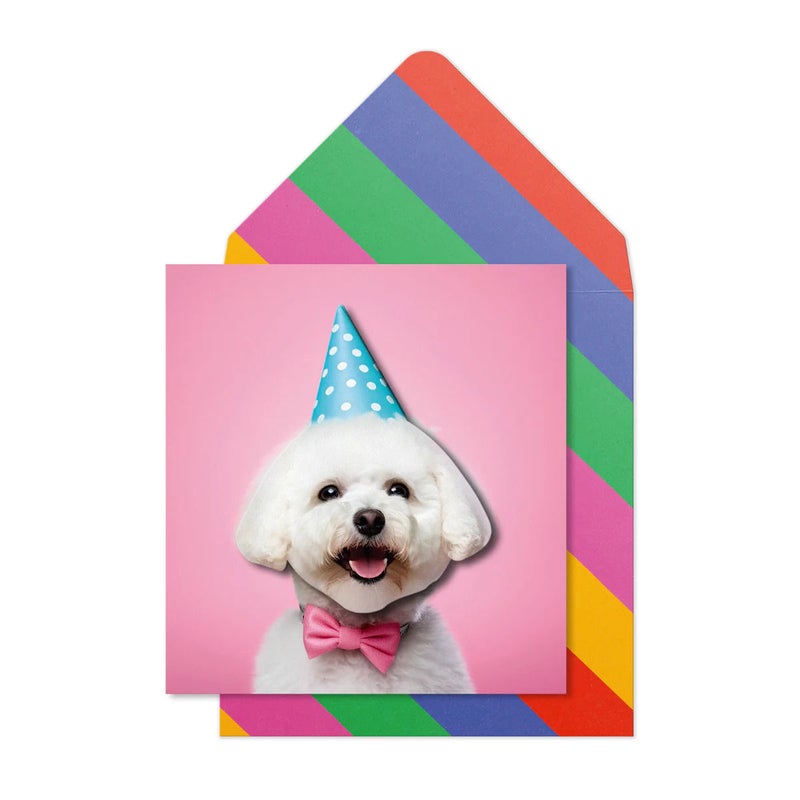 Tache Birthday Greeting Card Blank Inside, Bichon Frise Party Hat Design - Image 1