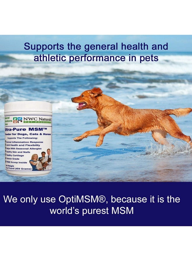 NWC Naturals Ultra-Pure MSM for Dogs, Cats & Horses, Supports Hip, Joint and Connective Tissue for Healthy Cartilage and Mobility Opti MSM, 1 lb Canister - Image 4