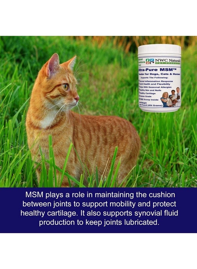 NWC Naturals Ultra-Pure MSM for Dogs, Cats & Horses, Supports Hip, Joint and Connective Tissue for Healthy Cartilage and Mobility Opti MSM, 1 lb Canister - Image 3