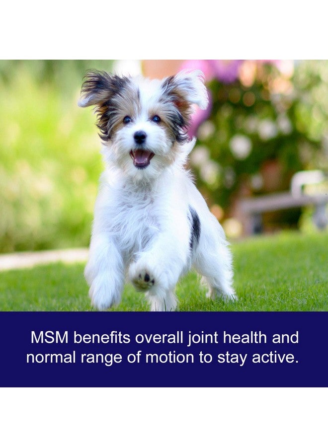 NWC Naturals Ultra-Pure MSM for Dogs, Cats & Horses, Supports Hip, Joint and Connective Tissue for Healthy Cartilage and Mobility Opti MSM, 1 lb Canister - Image 2