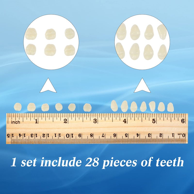 BBTO 6 Sets Acrylic Resin Fake Teeth artificial teeth Denture Replacement tooth prop Synthetic Resin Denture for Replacement, 112 Pieces, 23 A2 - Image 4