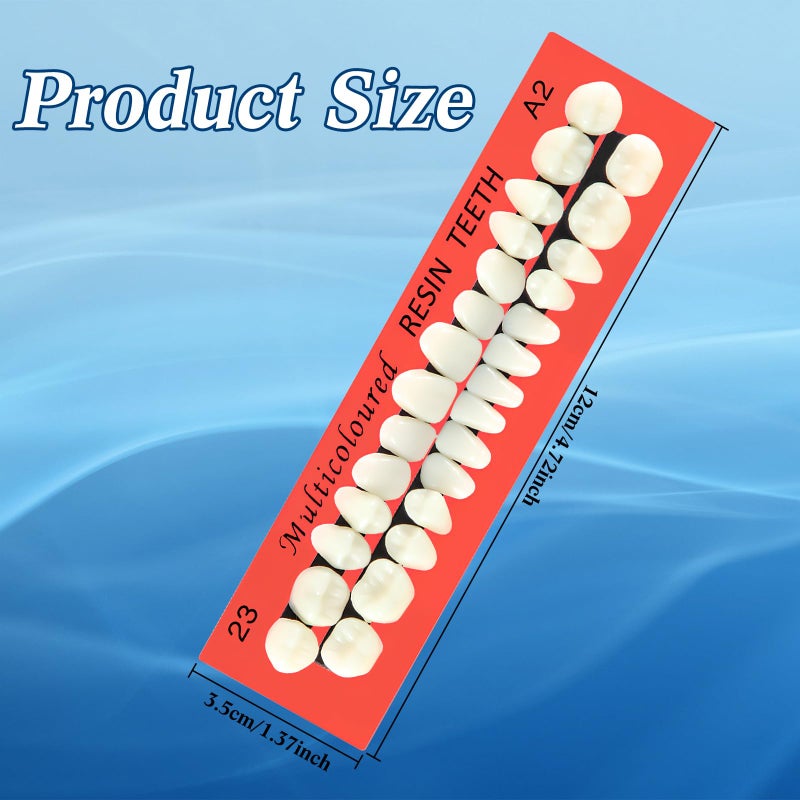 BBTO 6 Sets Acrylic Resin Fake Teeth artificial teeth Denture Replacement tooth prop Synthetic Resin Denture for Replacement, 112 Pieces, 23 A2 - Image 2