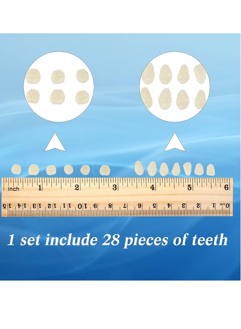 BBTO 6 Sets Acrylic Resin Fake Teeth artificial teeth Denture Replacement Synthetic Resin Teeth Complete Teeth Denture Dental Teeth False Teeth Synthetic Resin Teeth for Replacement, 112 Pieces, 23 A2 - Image 3