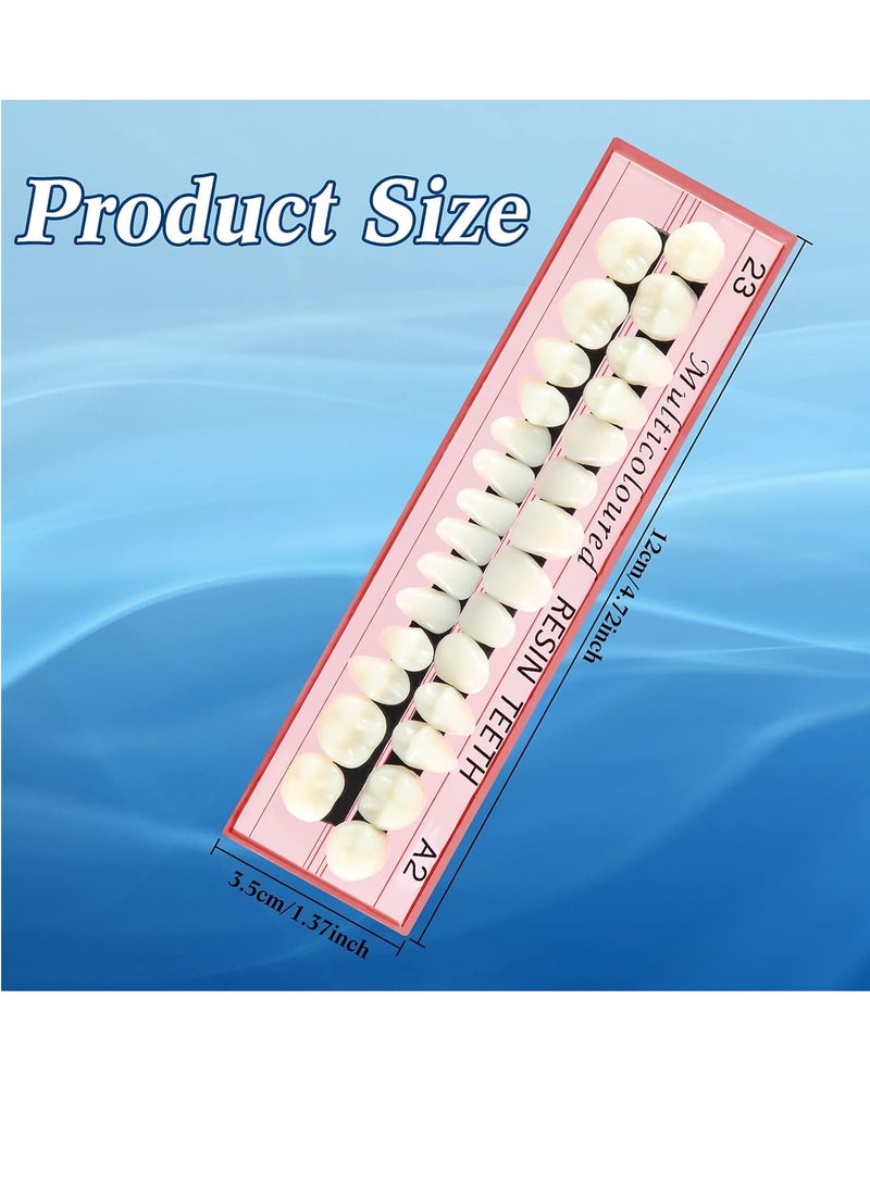 BBTO 6 Sets Acrylic Resin Fake Teeth artificial teeth Denture Replacement Synthetic Resin Teeth Complete Teeth Denture Dental Teeth False Teeth Synthetic Resin Teeth for Replacement, 112 Pieces, 23 A2 - Image 4