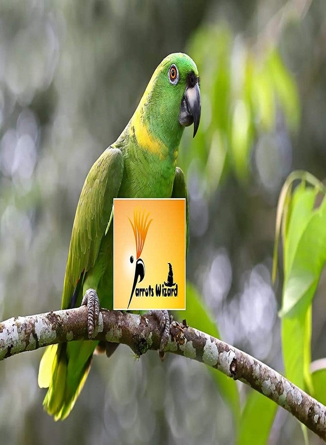 Parrots Wizard بذور دوار الشمس الكبيرة من باروتس ويزارد للببغاء الكبير [4750 غرام]، مناسبة لجميع مراحل نمو الطيور - Image 4