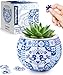 PieceRelax 3D Puzzle Planter 80 Pieces Flower Pot Danish Folklore Style for Mom Home Decor Flower Pots for Indoor Cactus Succulents Pots K1117 - Image 3