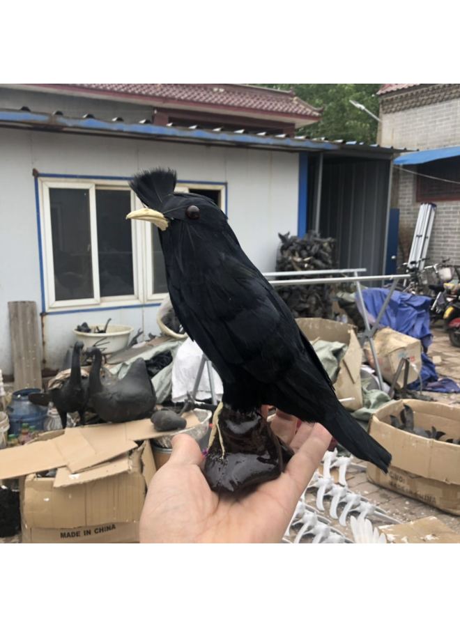 Loquat Simulation Turtledove Black Turtledove Bird Garden Ornaments  Props Toys Birds Feather Birds Landscape Birds-Color:Black - Image 4