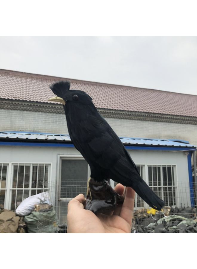 Loquat Simulation Turtledove Black Turtledove Bird Garden Ornaments  Props Toys Birds Feather Birds Landscape Birds-Color:Black - Image 1