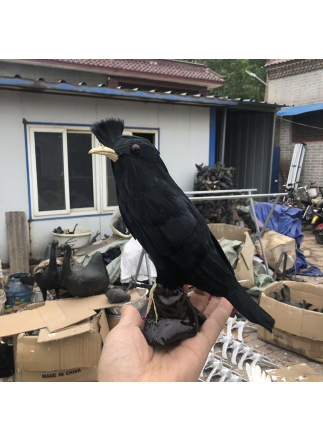 Loquat Simulation Turtledove Black Turtledove Bird Garden Ornaments  Props Toys Birds Feather Birds Landscape Birds-Color:Black - Image 3