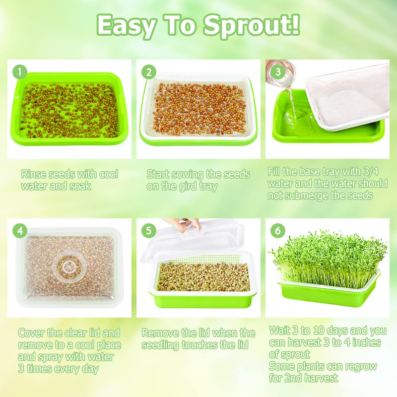 Legigo 2 Pack Seed Sprouter Trays with Lids- Soil-Free Cultivation Germination Tray, BPA Free Micro Greens Growing Trays Seed Sprouting Trays Kit with Germinating Paper for Wheatgrass, Beans and More - Image 5