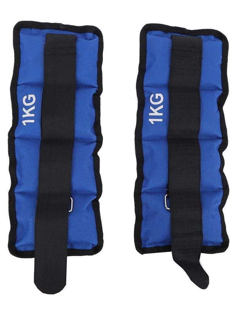 Festive Gallery Ankle And Wrist Weight Fully Adjustable Strap For Women Men Kids Weighted Ankle Fitness Workout Walking Running Jogging Exercise Gym 1kg Pair ( 1 x 2 Numbers )  - Image 1
