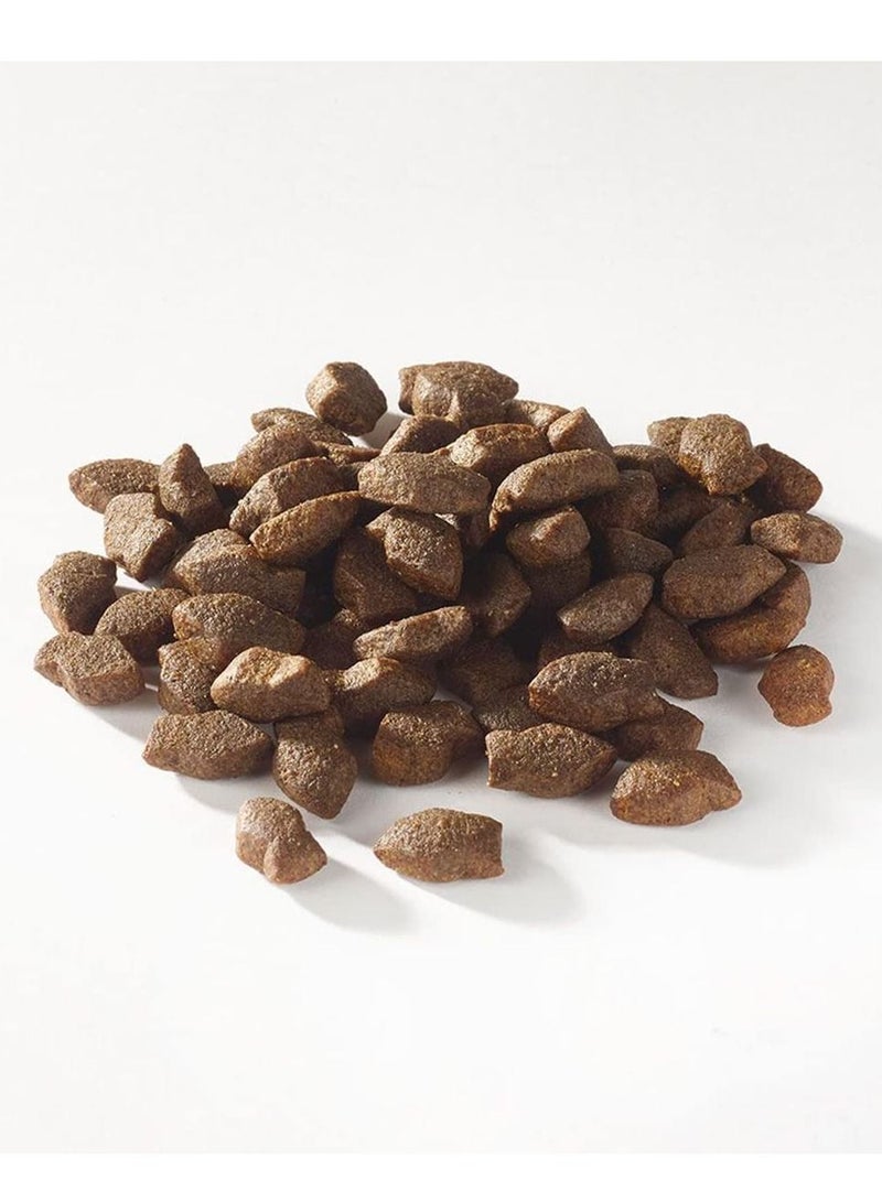 (فيش٤دوجس) مكافآت Fish4Dogs Support+ بقطع السلمون الصغيرة للجراء (150 جم) - Image 2
