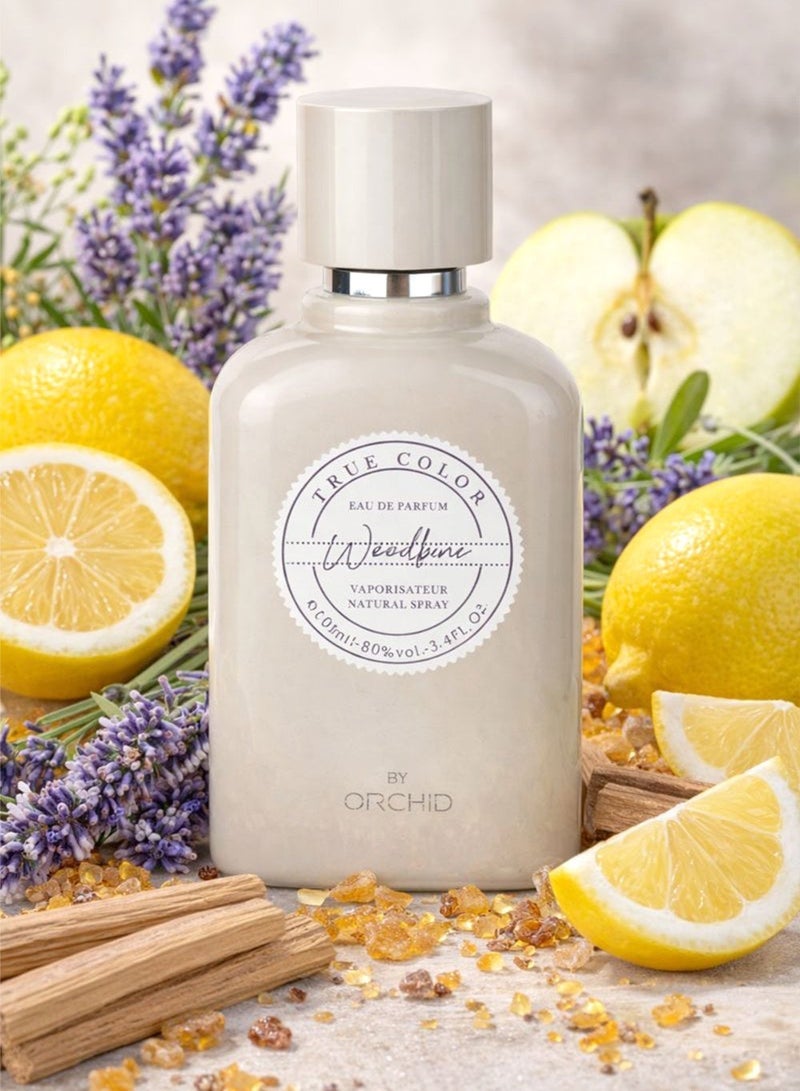 Orchid Woodbine Pour Homme Eau De Parfum 100ml Perfume for Men Long Lasting Fresh Citrus Aromatic Fragrance with Lavender Apple Woody Amber - Image 2