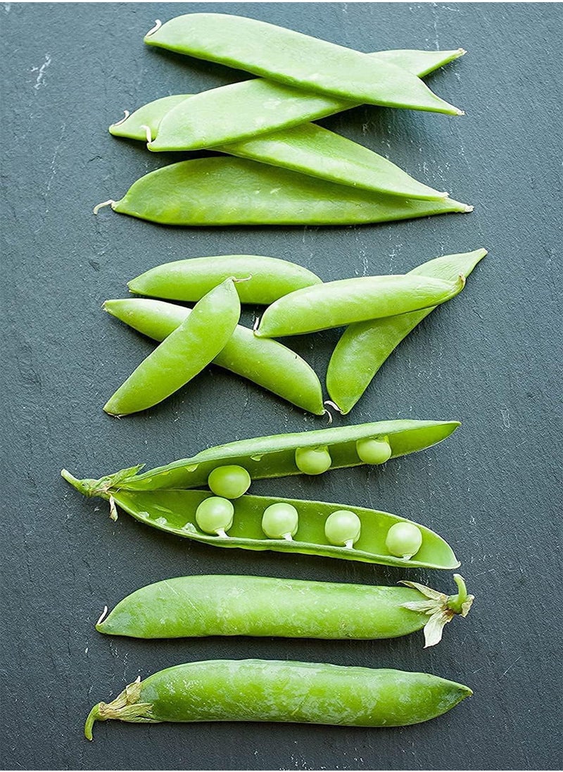 GGOOT Pea Edible Pod Sugar Snap () 100pcs Seeds for Planting, Stringless Sweet Green Snap, Sweet  Edible Pod, Non-GMO, Heirloom, Vegetable Asian Chinese Sugar Snap Pod  - Image 1