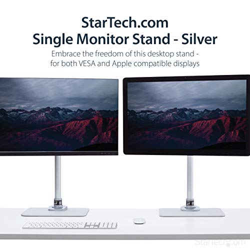 StarTech.com Single Monitor Stand, Adjustable, Supports UHD, iMac and Apple Thunderbolt Displays from 12'' to 34" (30.9lb/14kg), Premium Single Screen VESA Monitor Mount Stand, Silver, TAA - Image 2