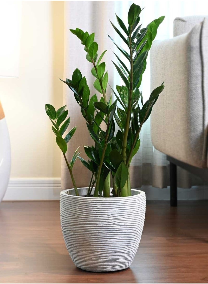 Decorative Round Fiber Clay Planter with Textured Lines Suitable for Natural and Artificial Plants , Grey , Size: 24cm (L) × 24cm (W) × 22cm (H)  For Indoor and Outdoor Use