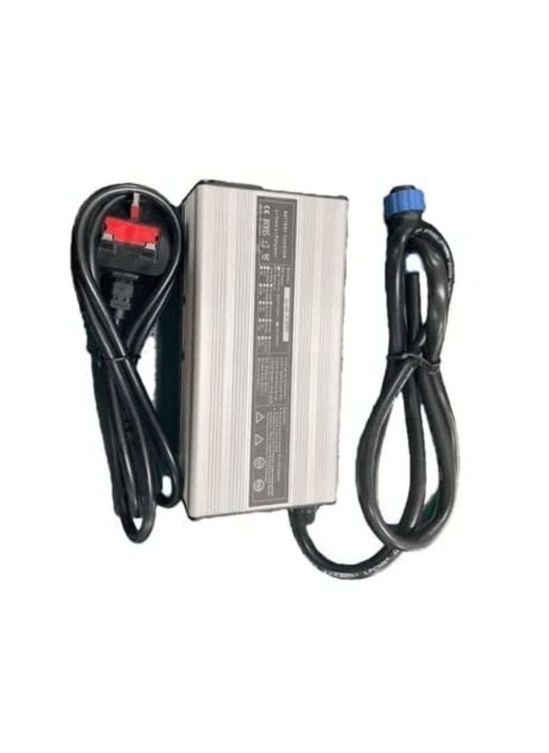Torqeedo - Torqeedo Battery Charger 29.6V 20A Suitable for LIFEP04 battery 200ah Fast Charger - Image 1