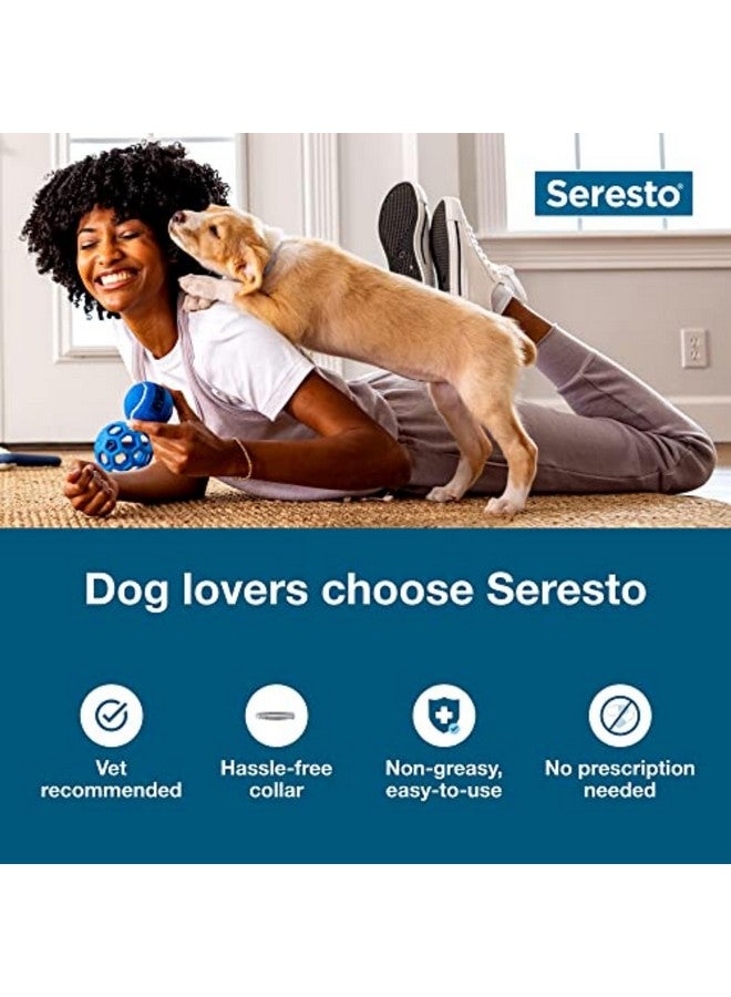 Seresto Small Dog Vet-Recommended Flea & Tick Treatment & Prevention Collar for Dogs Under 18 lbs. | 2 Pack - Image 3
