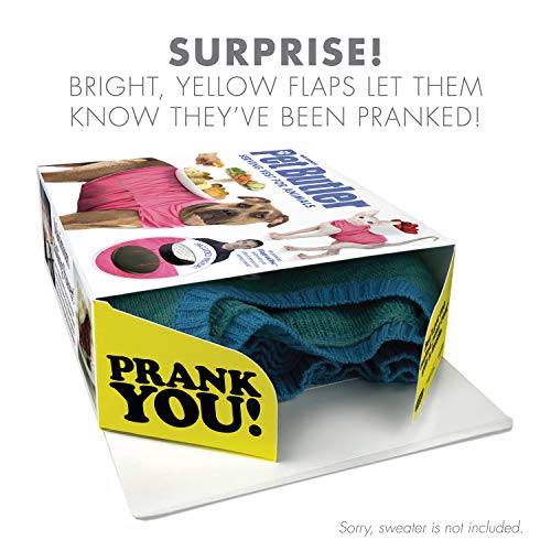 Prank Pack, Pet Butler Prank Gift Box, Wrap Your Real Present in a Funny Authentic Prank-O Gag Present Box | Novelty Gifting Box for Pranksters - Image 2