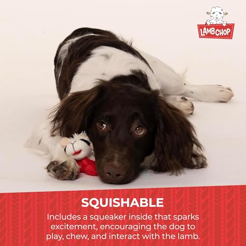 Multipet Lamb Chop Dog Plush Toy - Squeaky Toy for All Dogs - Extra Soft Plush - Stuffed Animal Dog Toy for Cuddling & Playing - Cute Pet Toy (6", Cream) - Image 5