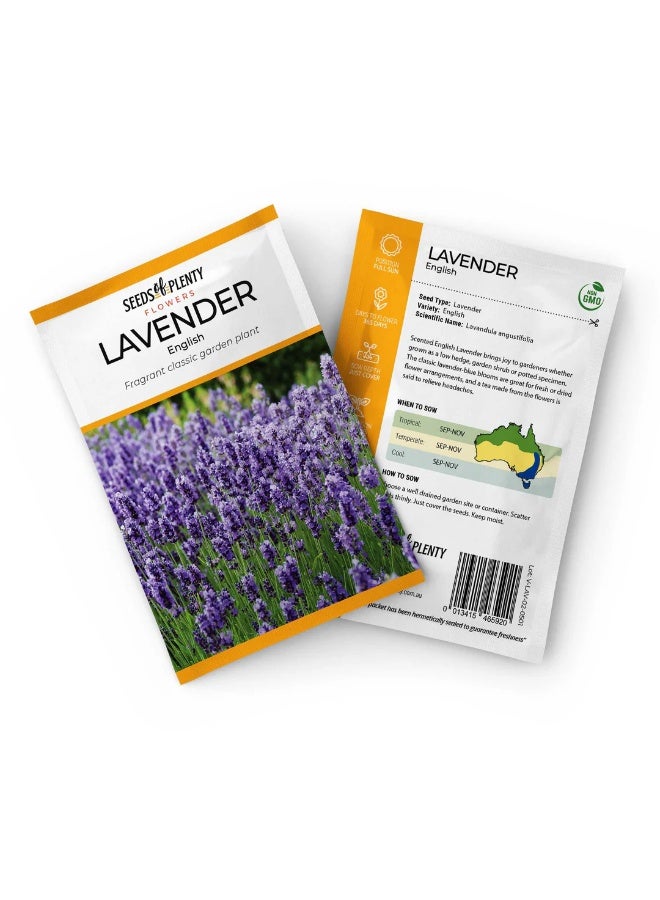 BIOCARVE SEEDS Lavender seeds for planting