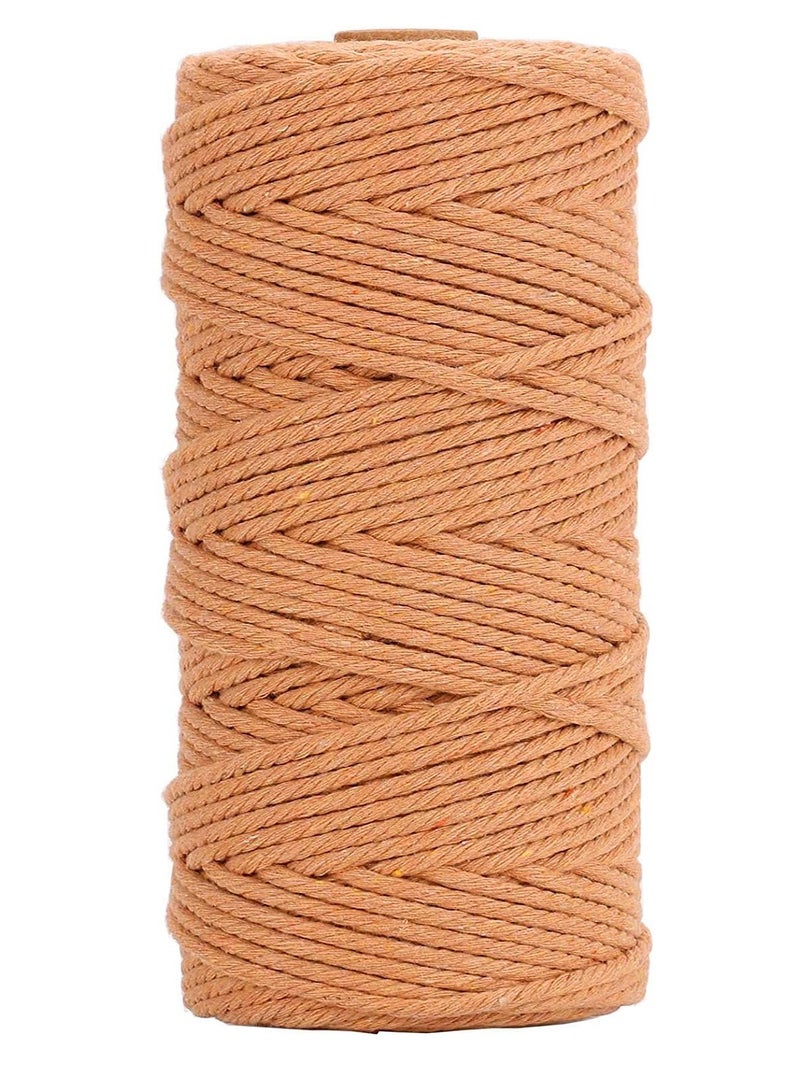 Premify 3mm Brown Cotton Rope, Natural Macrame Long Cotton Cord, Durable Handmade Art Material for Craft Wall, Hanging Plants, Drawstrings, Gardening, Home Decorations (1 x 100M Brown)  - Image 1