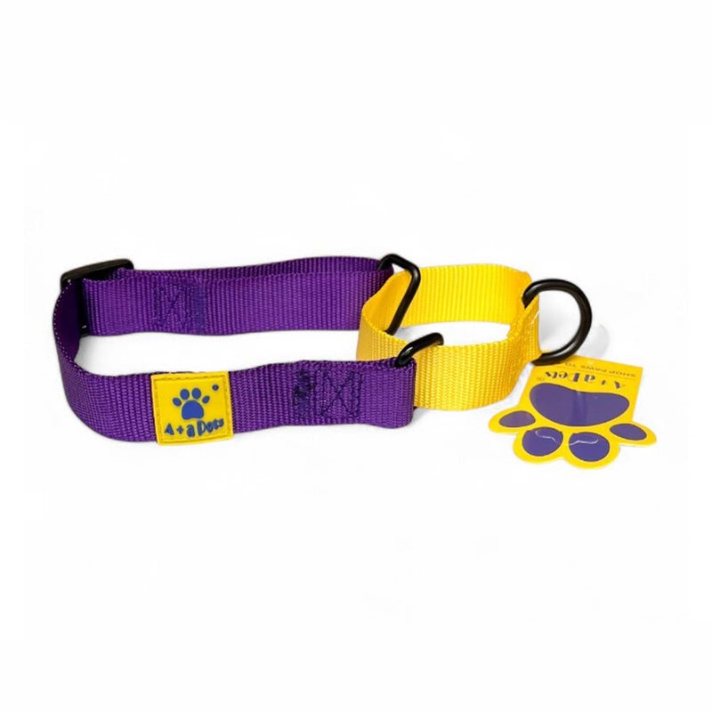 A+a Pets Martingale Dog Collar | No Pull Design, No Neck Strain, No Choke Design | for Large & Medium Dogs | Rust Free, Waterproof Nylon Training Collar (Purple & Yellow), 30 x 2.5 cm - Image 1