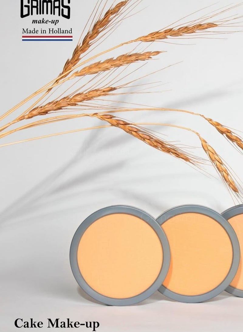 Grimas Cake Makeup b3 - Image 4